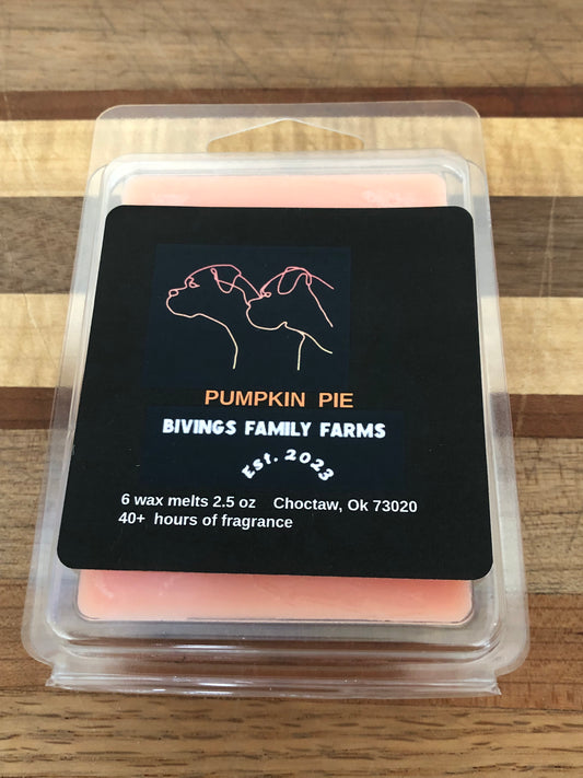 Handcrafted Pumpkin Pie Natural Soy Wax Melts